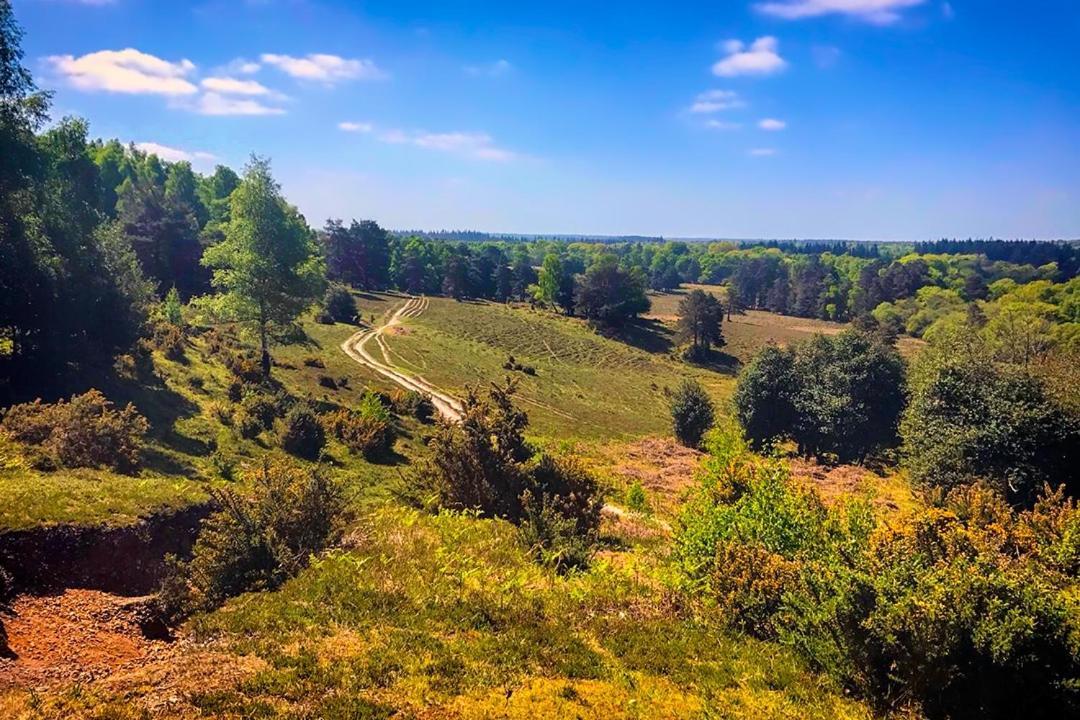 Rockley Park - Coral Hotel Poole Bagian luar foto